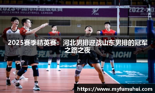 2025赛季精英赛：河北男排迎战山东男排的冠军之路之夜